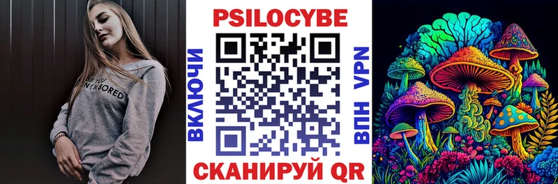 дарнет шоп  Нефтекамск  Псилоцибиновые грибы Magic Shrooms 