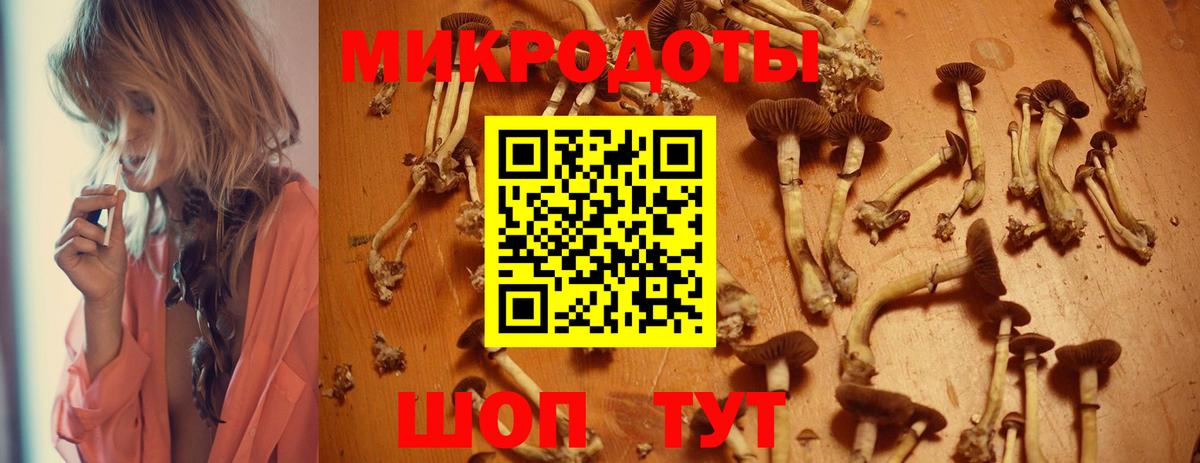 Нефтекамск  Псилоцибиновые грибы Psilocybine cubensis  где продают   Вход с VPN 